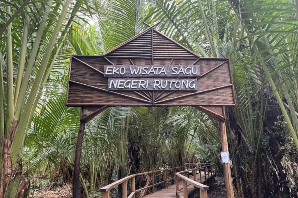 Hutan Sagu Ambon (Maluku)
