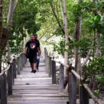 Inovasi Ekowisata untuk Pelestarian Alam