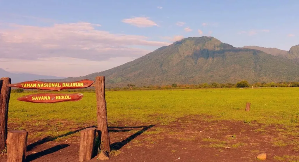 Taman Nasional Baluran (Jawa Timur)