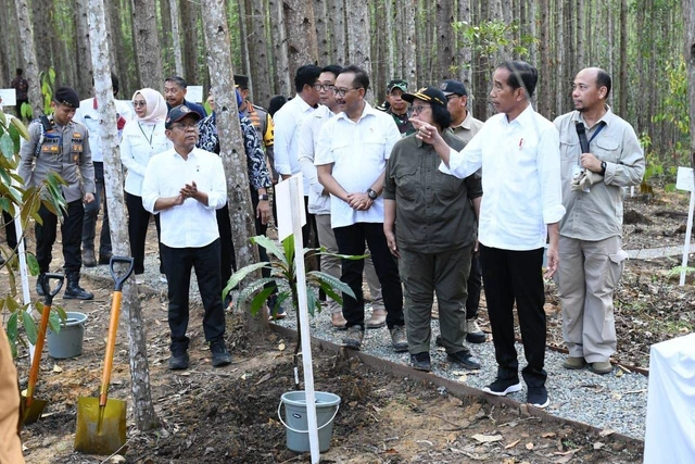 Konservasi Hutan Hujan Tropis Indonesia